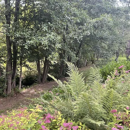 Exceptional Chalet, Sauna, & Center Within Walking Distance Gérardmer